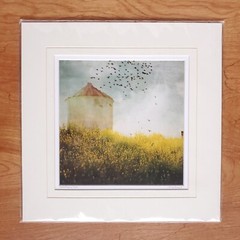 Angie Lambert Photograph Farm Silo Birds Flowers Americana Rustic 12×12″ Matted