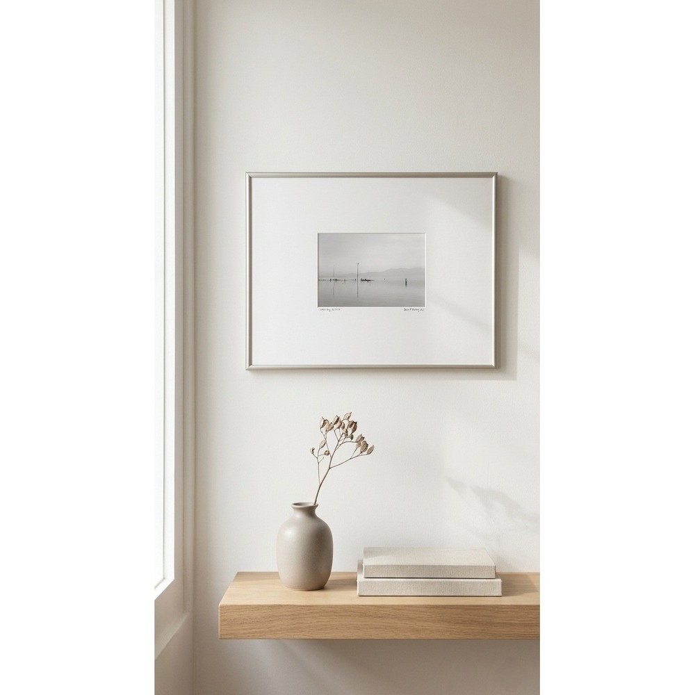 Original James F Danis Salton Sea B&W Photo Art Silver Frame 12×16″ Signed ’89