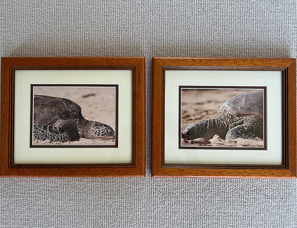 framed photography art