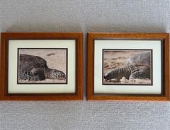 framed photography art