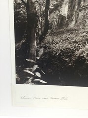 Dan Powell Original Silver Gelatin Photo (Ruins Savona, Italy) 19 x 16, 1999