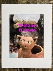 «Lizard on my Head» Photograph of Ceramic Cat w Lizard