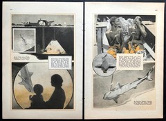 “On the Floor of the Sea” Williamson 1931 article Underwater photographer~Sharks