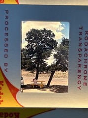 Kodachrome Lot Of 40 Vintage 1960s Worldwide Family Vacation Amateur 35mm Slides