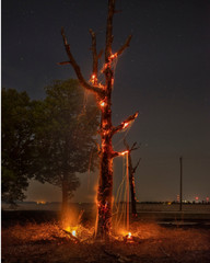 Jim Goldberg «Controlled burn, Wynne Arkansas USA 2021» Magnum photograph SIGNED
