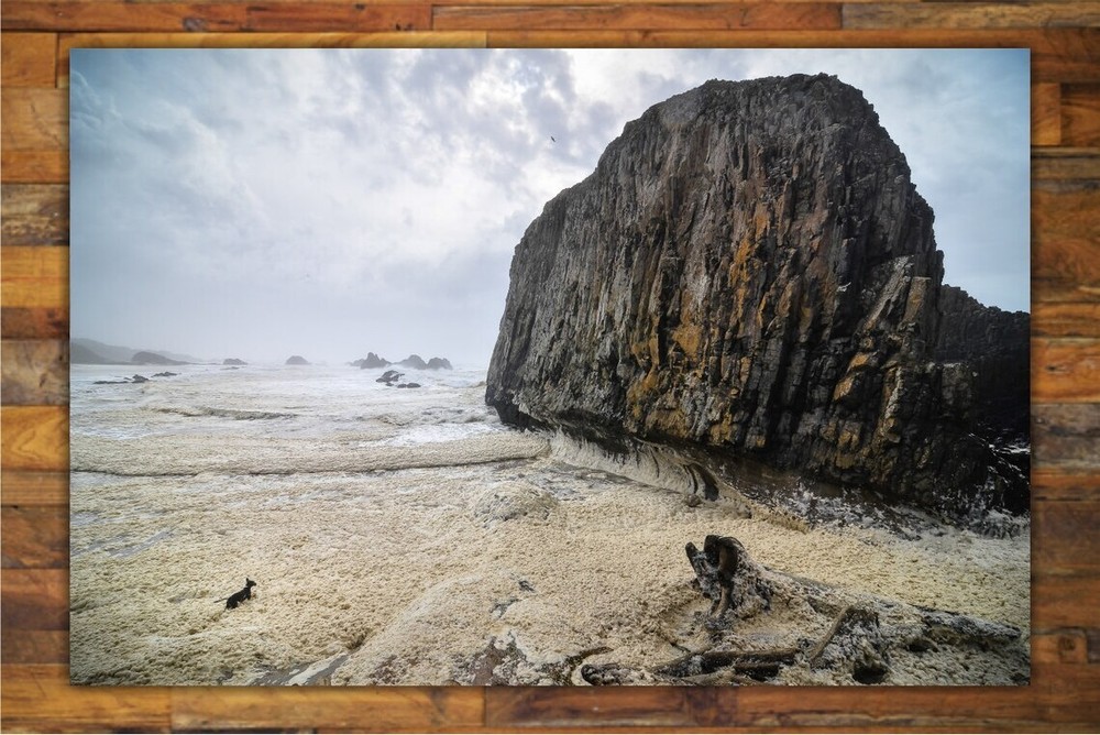 Seal Rock – Oregon Coast Hwy 101 Photography Décor – Pacific Northwest Fine Art
