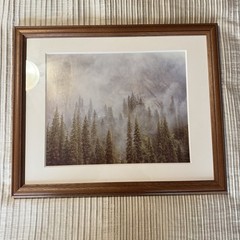 Rodney Lough The Little Rock That Could Yosemite Framed Fine Art Photograph MINT