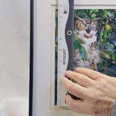 Framed Great Horned Owl Photograph By Anthony Hathaway Print #11-3 14×11