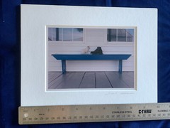 Bill Coleman Amish Photograph – kitten and boot on a bench – Signed & Matted