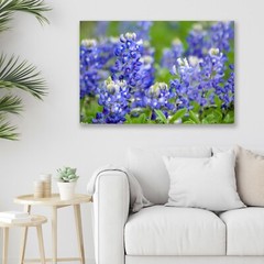 Texas Bluebonnet, Abstract Flower, Nature Fine Art Photo on Metal, Canvas, Paper