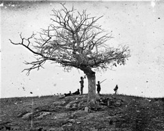 New Civil War Photo: Grave on the Antietam – Sharpsburg Battlefield – 6 Sizes!