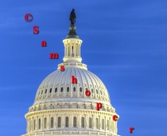 2013 U.S. Washington DC Capitol Christmas Tree Photo Print 16″ x 24″