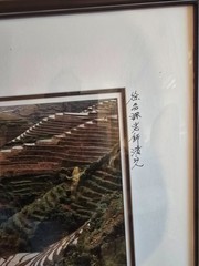 Huge 42×32 Vintage 2002 Chinese Rice Terrace Photo – Framed & Signed – Longji