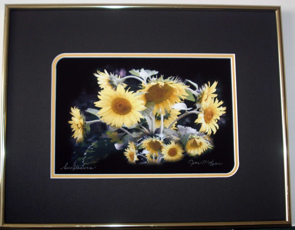 Sunflowers Double matted and framed Size 11 x 14 Original photography Giclee