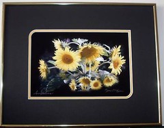 Sunflowers Double matted and framed Size 11 x 14 Original photography Giclee