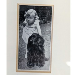 Vtg Cocker Spaniel Photos Framed Dogs and Friend Black White Lady Kitty Ritson