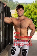 MALE PORTRAIT #0622-483-ASPEN -free shipping in usa