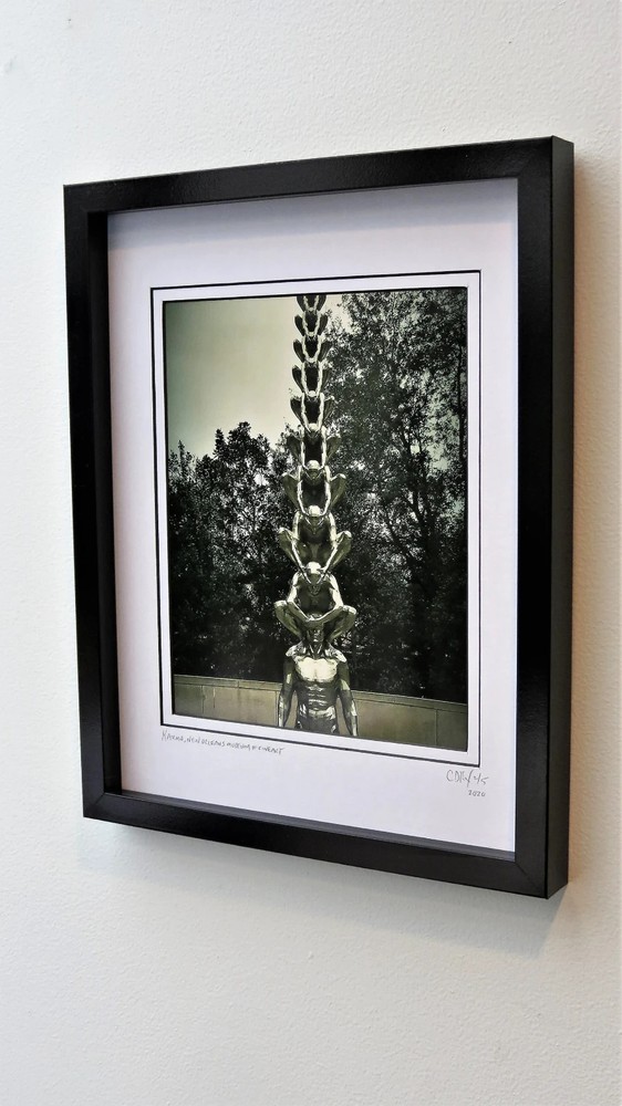 Limited Edition Signed Architectural Framed Photography by C. Damien Fox