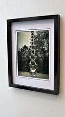 Limited Edition Signed Architectural Framed Photography by C. Damien Fox