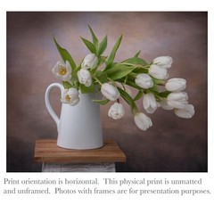 Floral Print of White Tulips wall art print home decor.