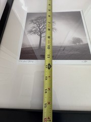 Richard Calvo ‘In Just Spring’ Framed Black & White Landscape Tree Photograph