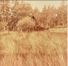 Vintage Barn Photography Rustic Art Photo Framed Farmhouse OOAK 24×18 Yellow
