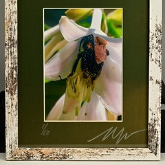MICHAEL RAY Original Vintage Signed Long Island NY Floral Still Life Photograph
