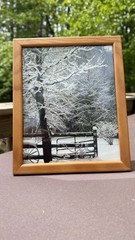 Original photograph, ‘Snow Cover’ by Serene Scenes in Maine, 8 x 10, wood frame