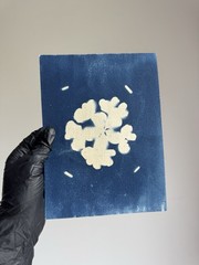 Flower|Cyanotype Botanical Print | Handmade Blue Photographic Art | 15×20 cm