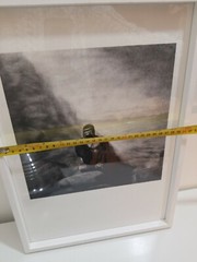 Andrea Alessio Animal Photo Wall Art Gorilla Zoo Framed Print Picture