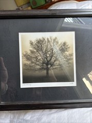 Richard Calvo «Awakening» Glass framed Photo Print 8”x8” OD 15”X7” Signed