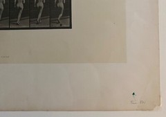 EADWEARD MUYBRIDGE authentic 1887 collotype ANIMAL LOCOMOTION PLATE 70 – lewitt