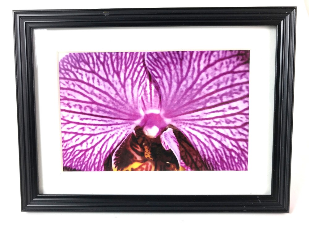 ORCHID WORLD I 4×6 » MATTED AND FRAMED PHOTO PRINT, READY TO HANG, GREAT GIFT!
