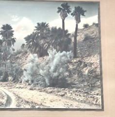 Lg VTG J.M. Garrison Hand Tinted Oil Color Photo Palm Canyon 15.5”x21.5” VGC
