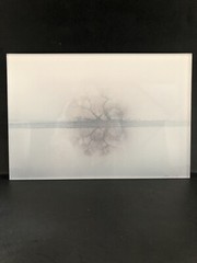 Michael Turek Framed Signed Photo Northern Virginia 11.5×8