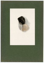 Alfred Stieglitz, «Studie (A Sketch in Platinum)» 1901s Camera Notes Halftones