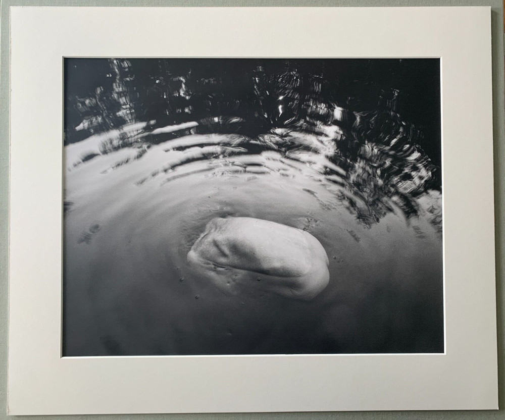 Arno Rafael Minkkinen «Waiting for the Snake» Silver Gelatin Signed Numbered