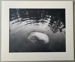 Arno Rafael Minkkinen «Waiting for the Snake» Silver Gelatin Signed Numbered