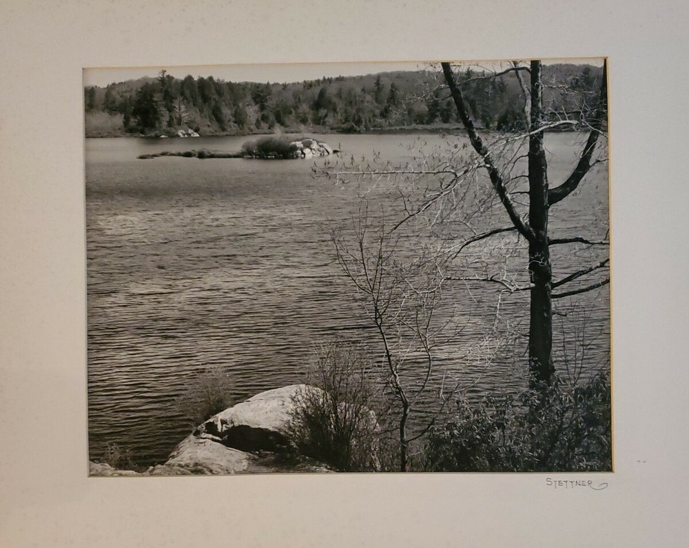 WATER AND TREES LARGE ORIGINAL SIGNED ART PHOTO B&W STETTNER VTG MATTE NJ CAMERA