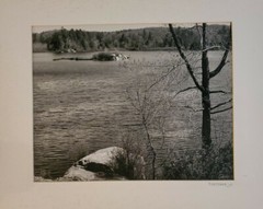 WATER AND TREES LARGE ORIGINAL SIGNED ART PHOTO B&W STETTNER VTG MATTE NJ CAMERA