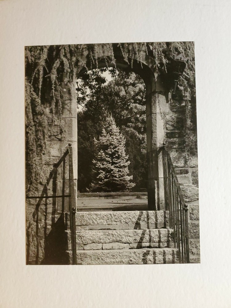 LONESOME PINE LARGE ORIGINAL SIGNED ART PHOTO B&W STETTNER VTG MATTE NJ CAMERA