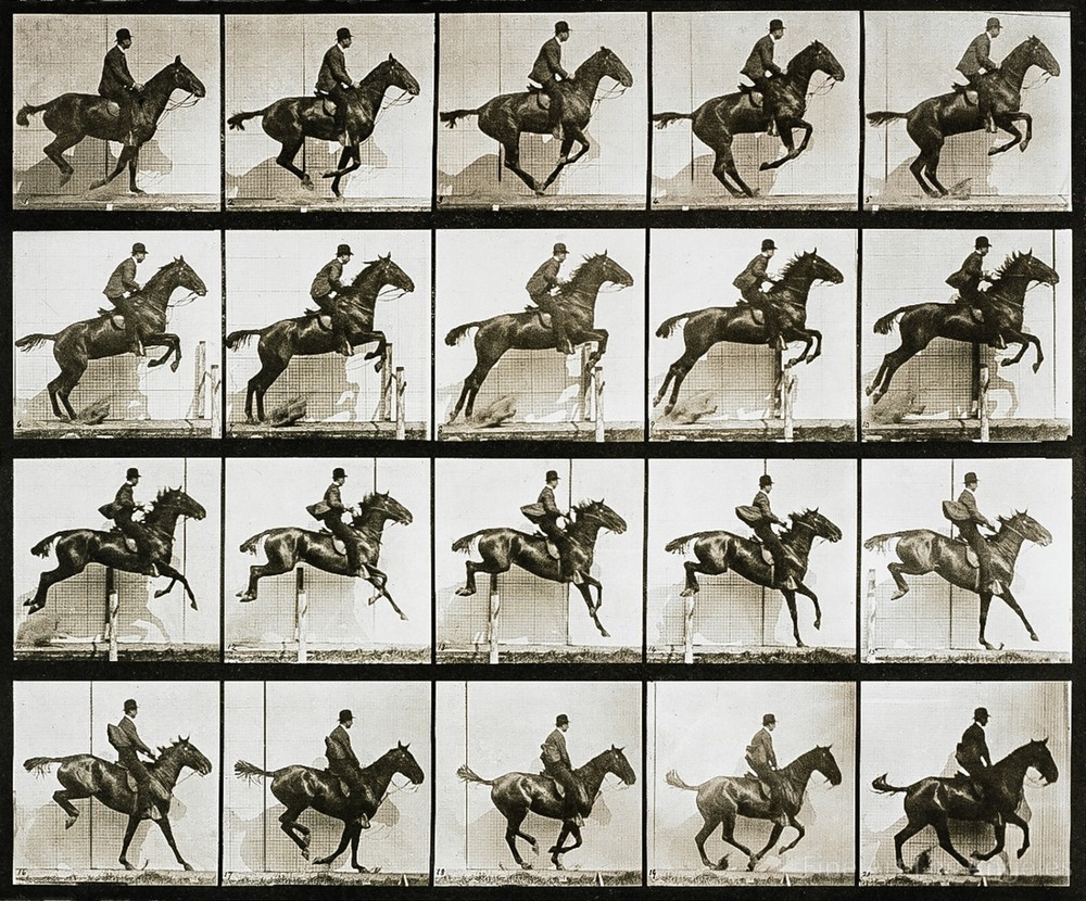 Eadweard Muybridge Photo, Jumping Horse with Rider, 1880s