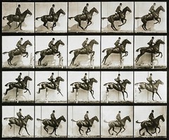 Eadweard Muybridge Photo, Jumping Horse with Rider, 1880s 17×11″