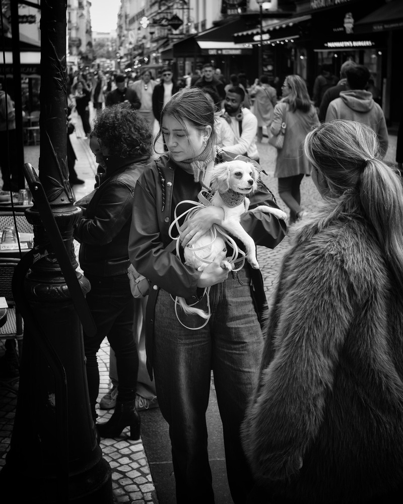 Fine Art Photography 5×7, 8×10, 11×14, 16×20 – Paris, France Street Photography