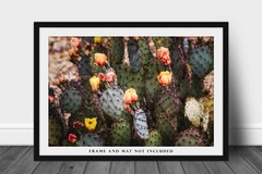 Prickly Pear Cactus Photography Print | Desert Picture | West Texas Wall Art