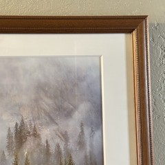 Rodney Lough The Little Rock That Could Yosemite Framed Fine Art Photograph MINT