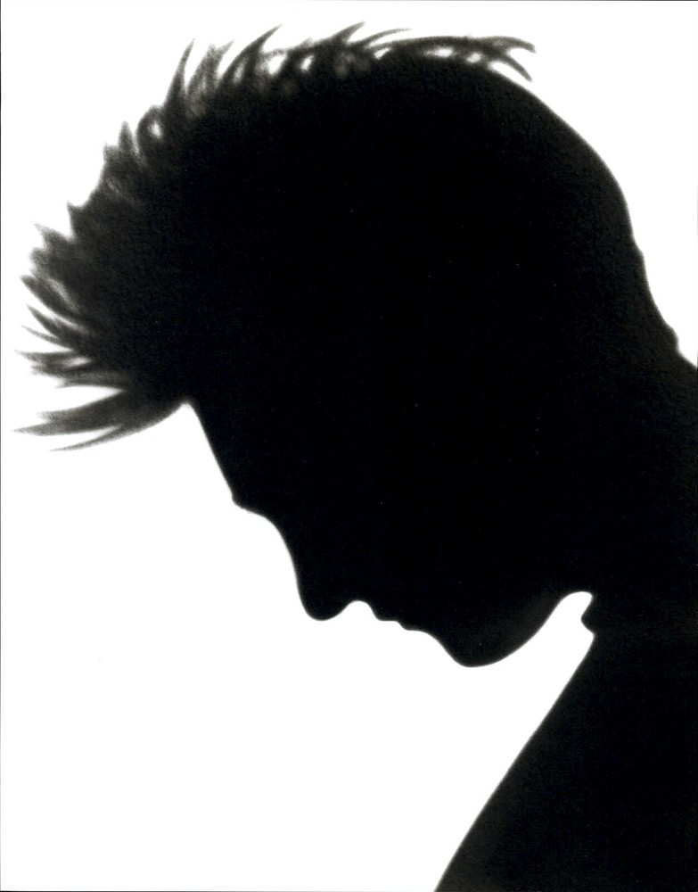 2000 Herb Ritts Singer Entertainer K D Lang 1989 Shadow Profile Art Photo