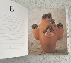 Anne Geddes Address Book & A Special Edition 2002 Calendar