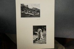 Photo bundle Tatras Poland Pieninen Czorsztyn mountains farmers mountains nature Beskydy