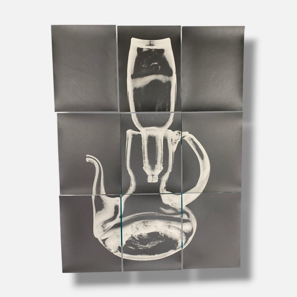 Sylvie Bussières «Sèrie Inutiles de Cristal» Foto No.1 Photogram Mural Wall Art
